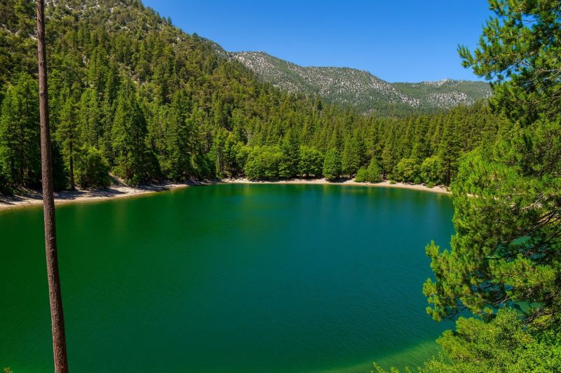 Commercial Toilet Installation in Wrightwood, CA